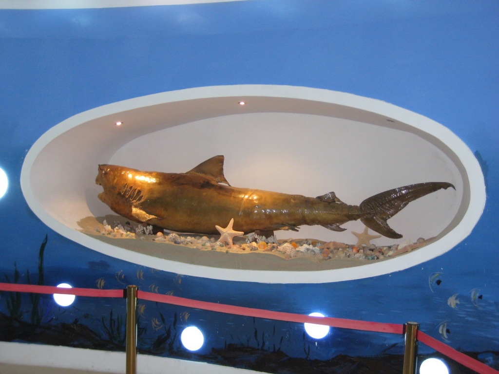 зима 216.JPG